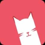 猫咪网app安卓免费版在线下载_猫咪网官方最新版v1.1下载
