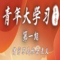 芜湖共青团网上主题青年大学习登录