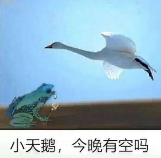 颤音小天鹅今晚有空？图片表情包动态图片分享图0