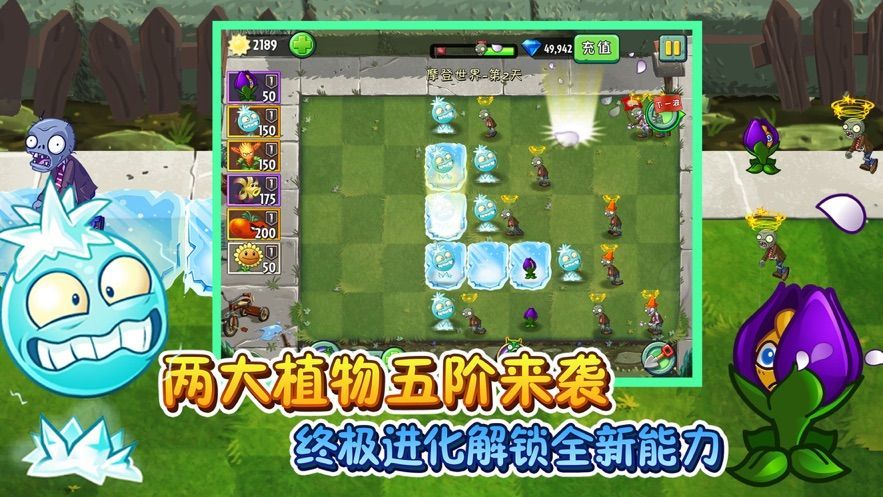 植物大战僵尸22.5.6全五阶内购破解版v2.5.6 截图1