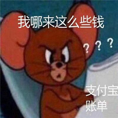 看完支付宝年度账单的你搞笑图片表情包