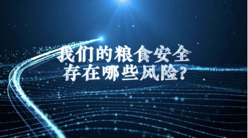 湖北电视台综合频道我说国安如何端好中国饭碗现场视频回放观看入口图3