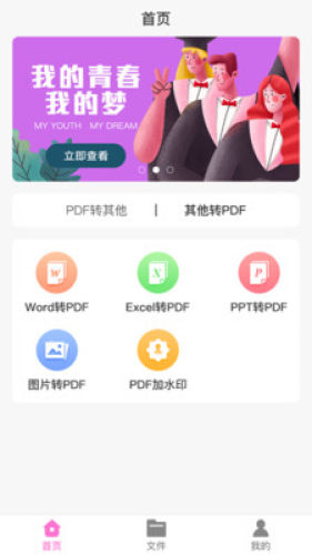 PDF格式大师图1