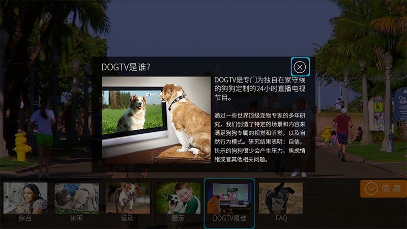 dogtv图1