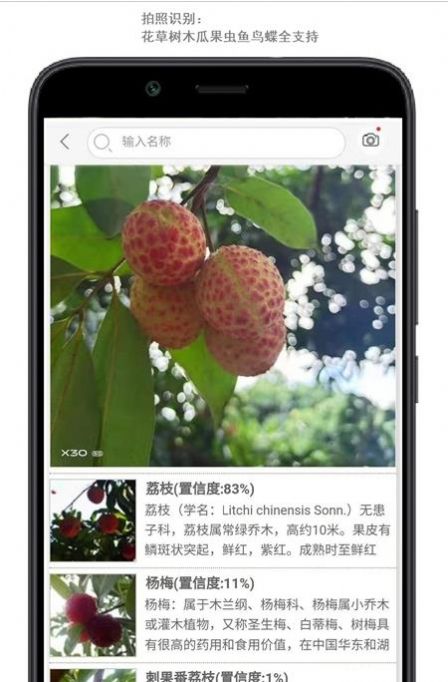 行色识花app安卓版图1