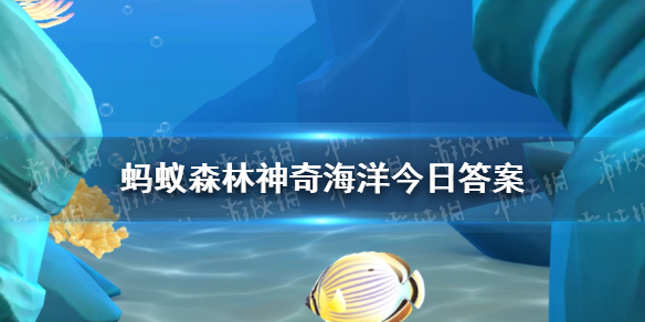 什么章鱼哪种能模仿十余种不同种类的海洋生物 神奇海洋今日答案11.3